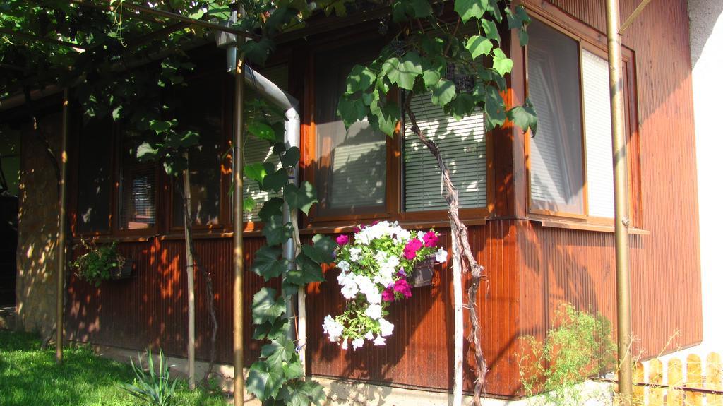 Guesthouse Elena Belogradchik Exterior photo